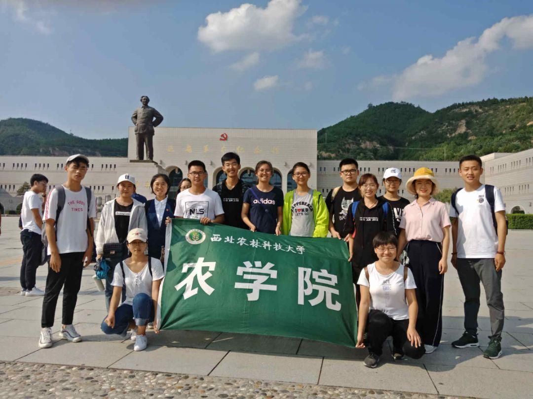 拼多多怎么开通先用后付_澎湃新闻(中国)问答平台